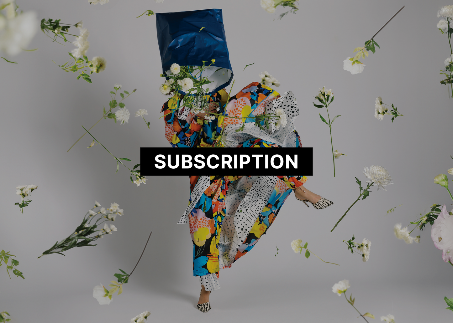 Sixtysix Subscription